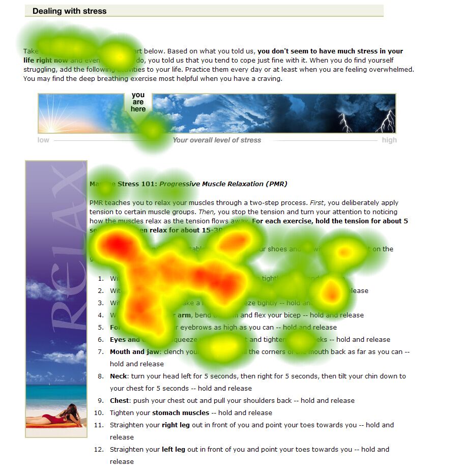 Eye Tracking Study